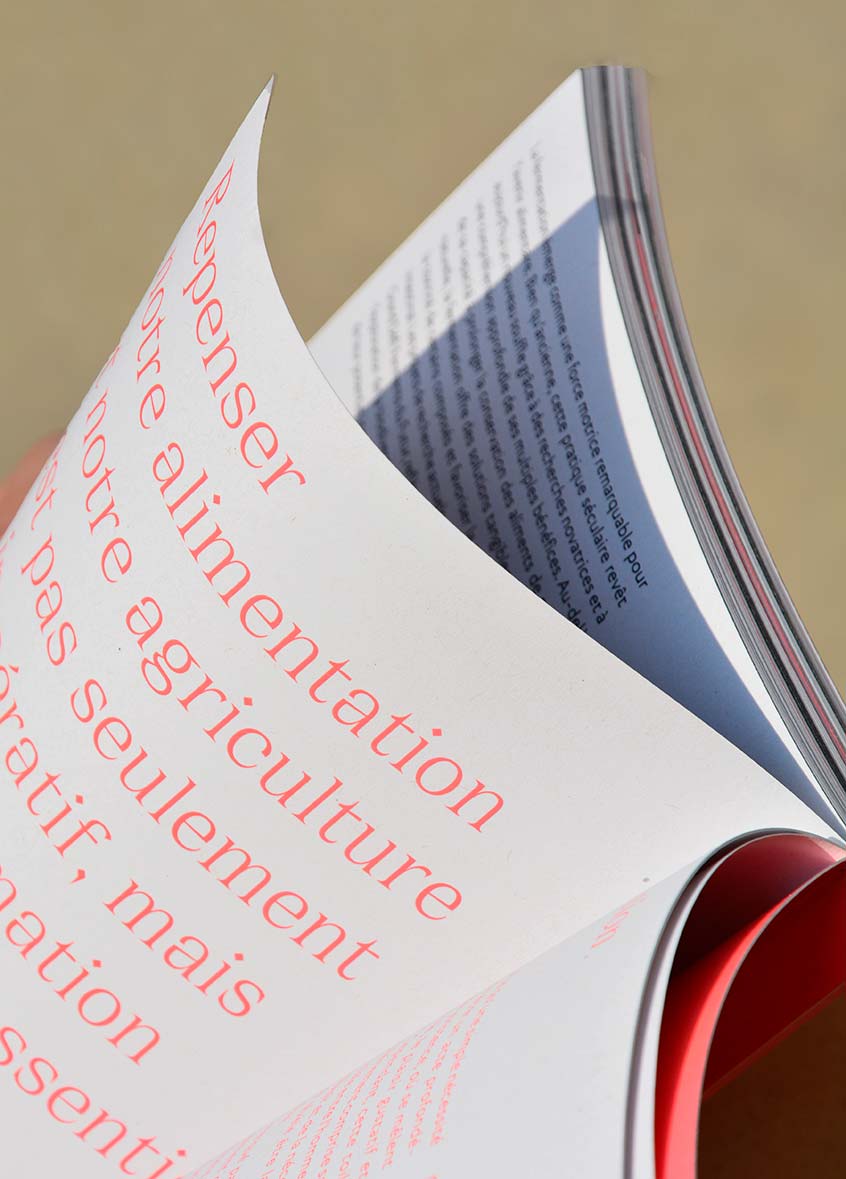 Graphiste Marseille
